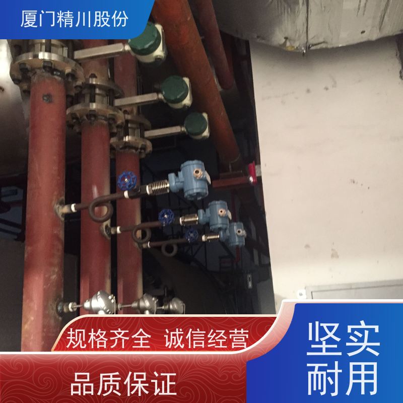 精川股份 合成革厂 涡街蒸汽流量计 工作时间长 源头生产厂家