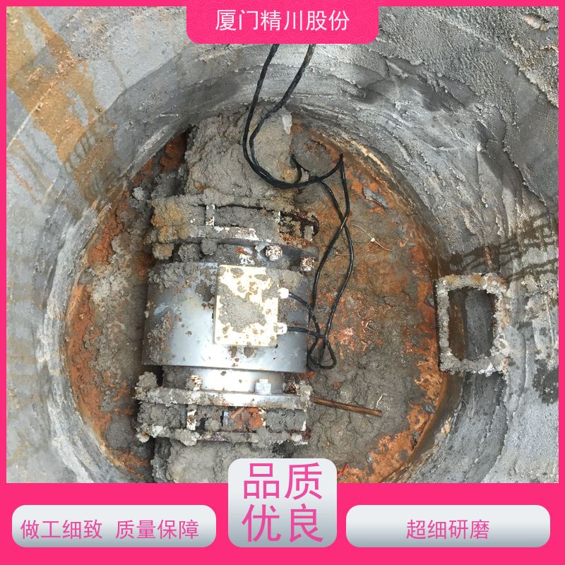 精川股份合成革厂分体式电磁流量计带接地环经久耐用