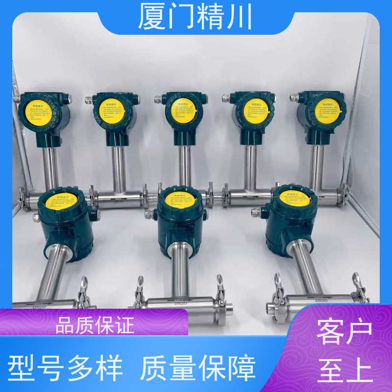 精川股份 矿物油 在线插拔靶式流量计 可测含杂质介质 性能稳定