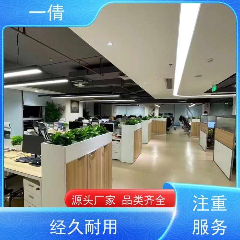 一倩花卉 深圳 棕竹 绿植出售 种类繁多 规格齐全