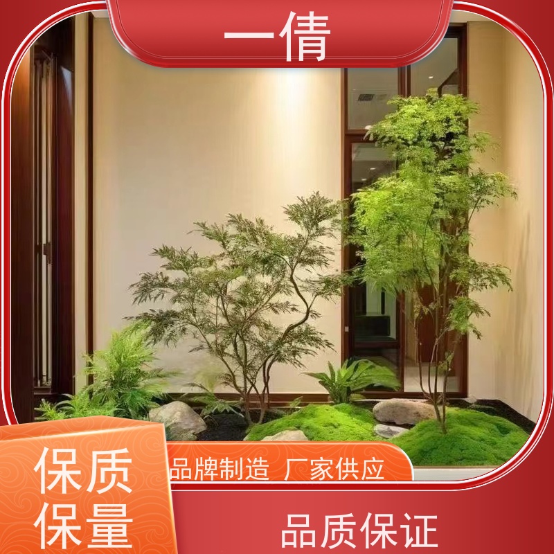 一倩花卉 办公室 70盆四季桔 开业花篮租赁 净化空气
