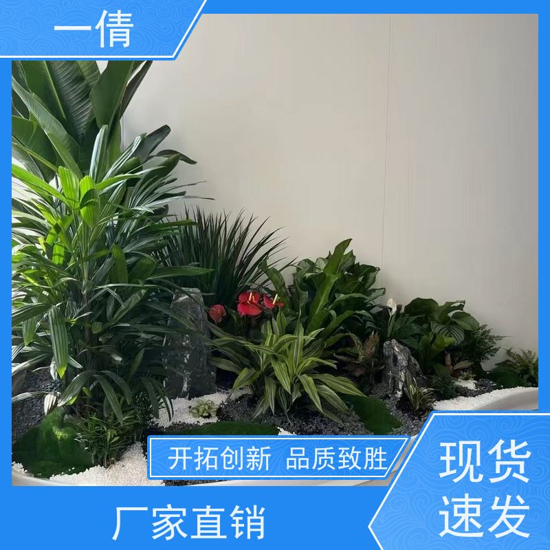 一倩花卉 办公室 富贵树 花卉租赁 全城配送 上门养护