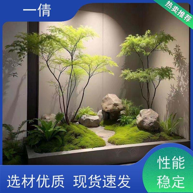 一倩花卉 深圳 银斑葛 绿植租摆 全城配送 上门养护