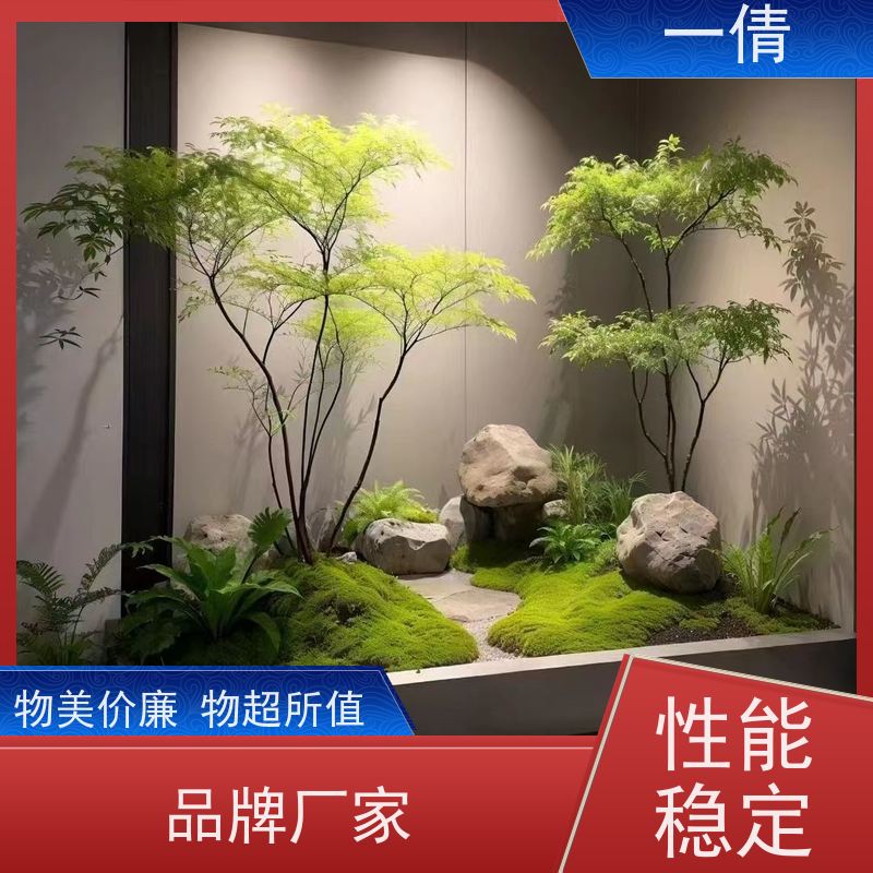一倩花卉 办公室 冬青） 绿植出售 全城配送 上门养护