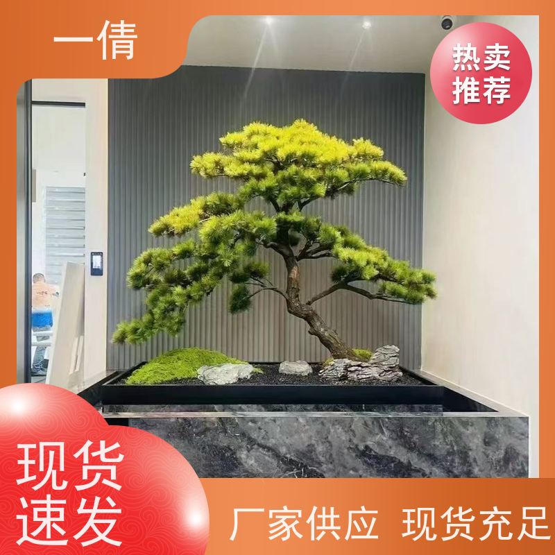 一倩花卉 前台 吉利红 绿植租赁 种类繁多 规格齐全