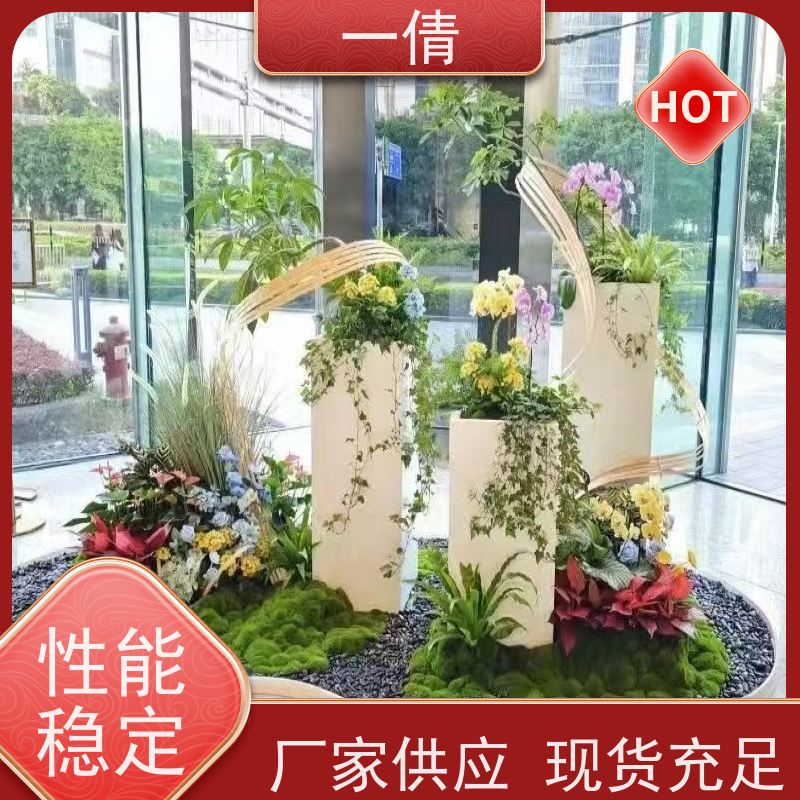 一倩花卉 办公室 16寸盆四季桔 绿植租摆 种类繁多 规格齐全