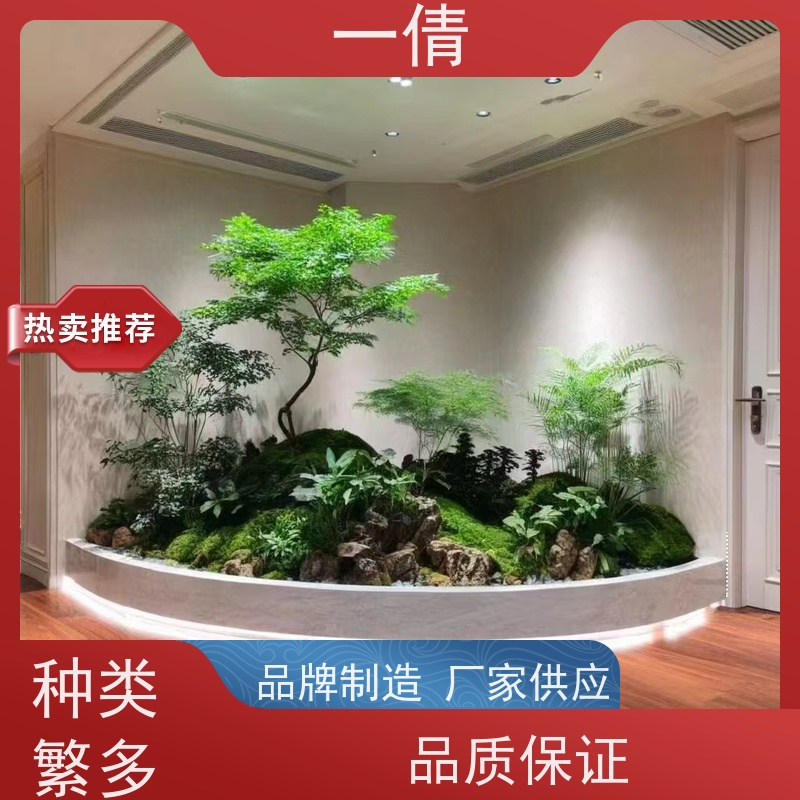 一倩花卉 办公室 树厥 绿植租摆 桌面绿植 花木护理
