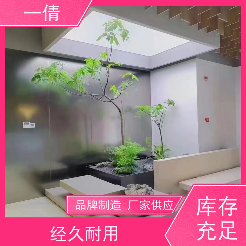 一倩花卉 深圳 满堂红 绿植租赁 桌面绿植 花木护理