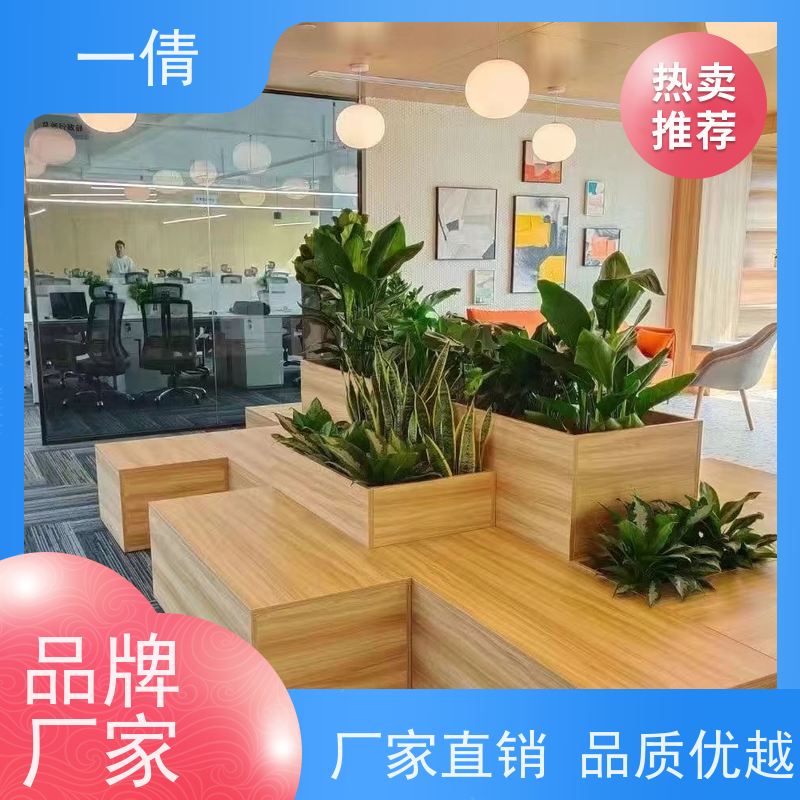 一倩花卉 室内 银斑葛 绿植租摆 桌面绿植 花木护理