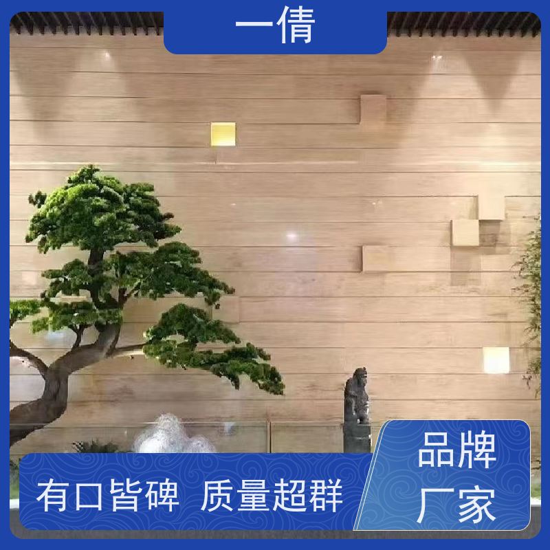 一倩花卉 室内 墨兰 室内植物出租 桌面绿植 花木护理