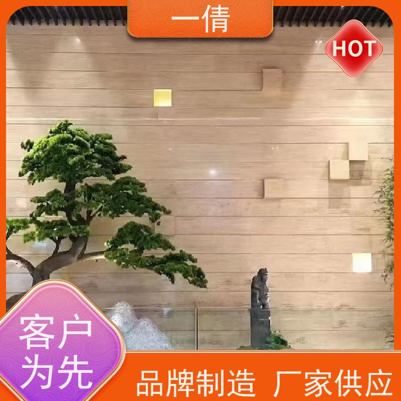 一倩花卉 办公室 凤尾竹 室内植物出租 种类繁多 规格齐全
