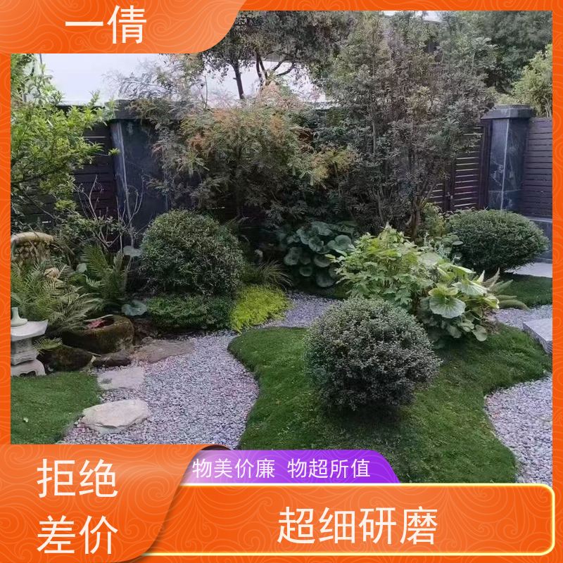 一倩花卉 办公室 小年桔盆景 开业花篮租赁 桌面绿植 花木护理