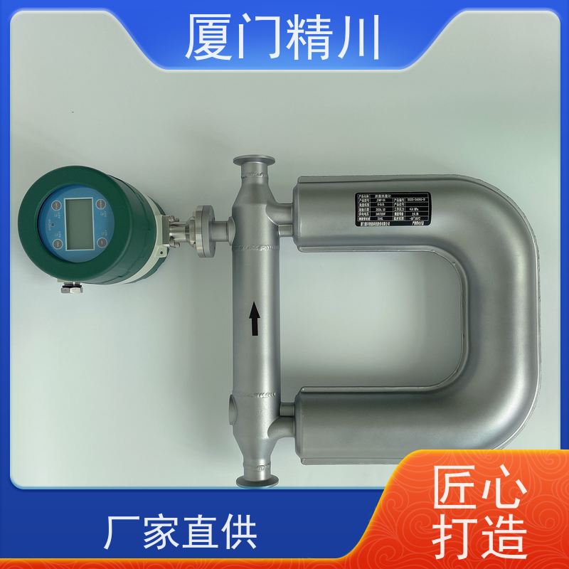 精川股份 设备配套气体质量流量计 连接方式支持定制 有保障