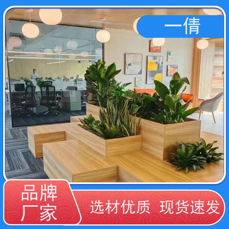 一倩花卉 前台 龟背 绿植租摆 全城配送 上门养护