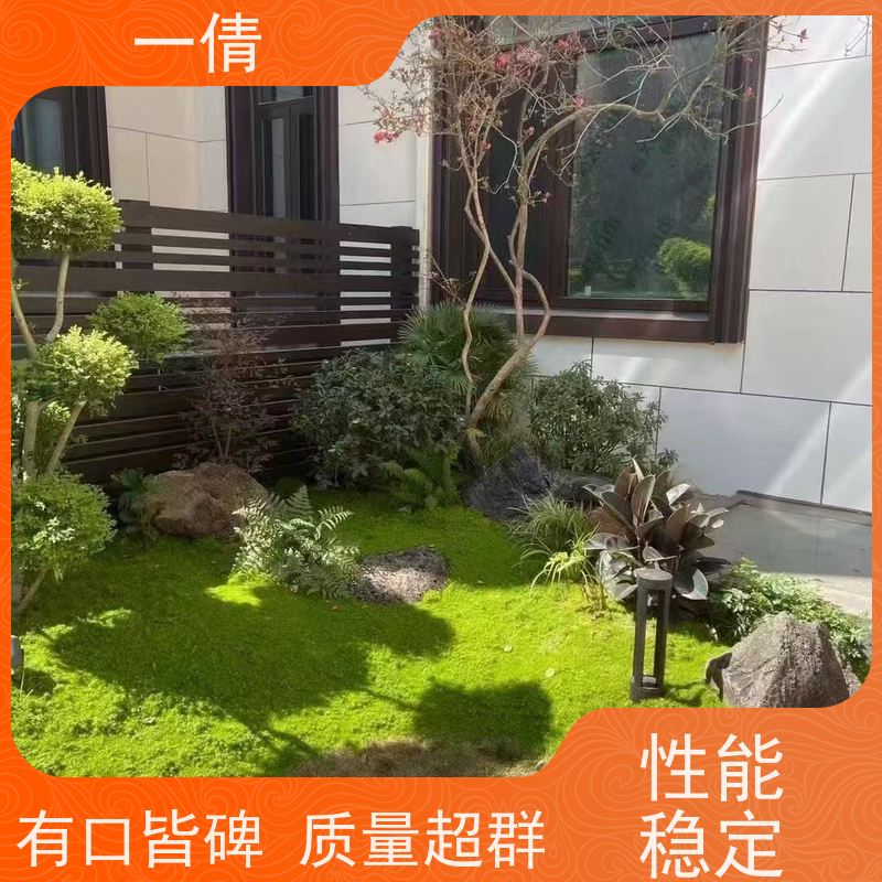 一倩花卉 前台 70盆四季桔 绿植租赁 种类繁多 规格齐全
