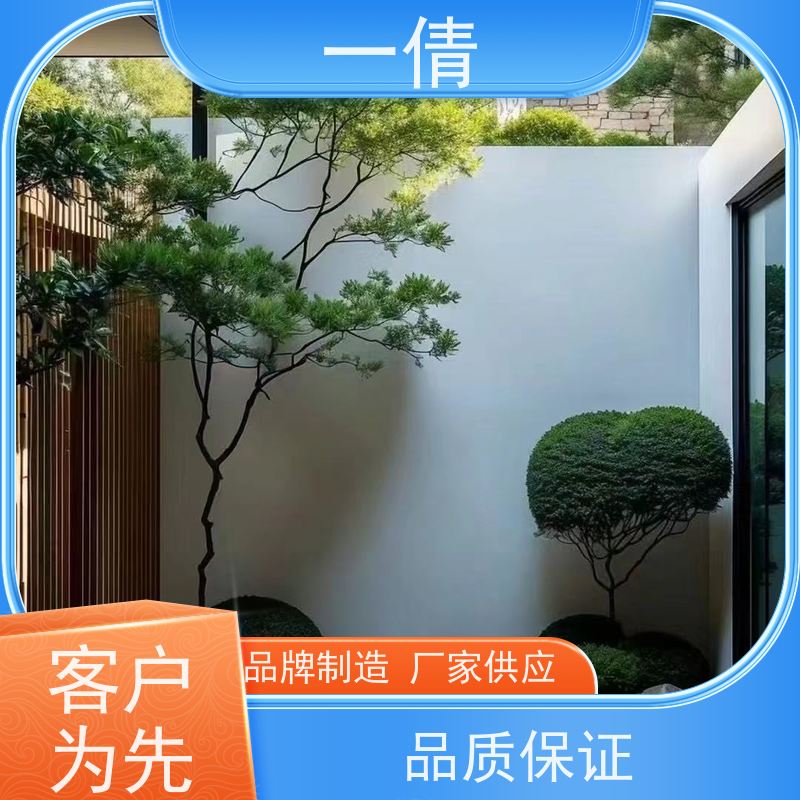 一倩花卉 前台 澳洲杉 花卉租赁 种类繁多 规格齐全