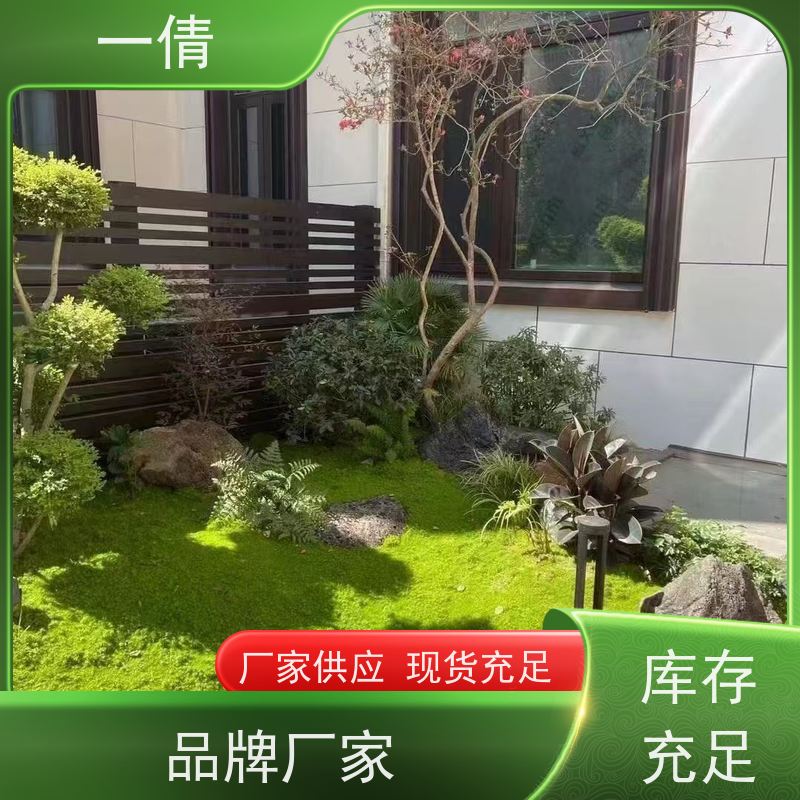 一倩花卉 办公室 绿精灵 开业花篮租赁 种类繁多 规格齐全