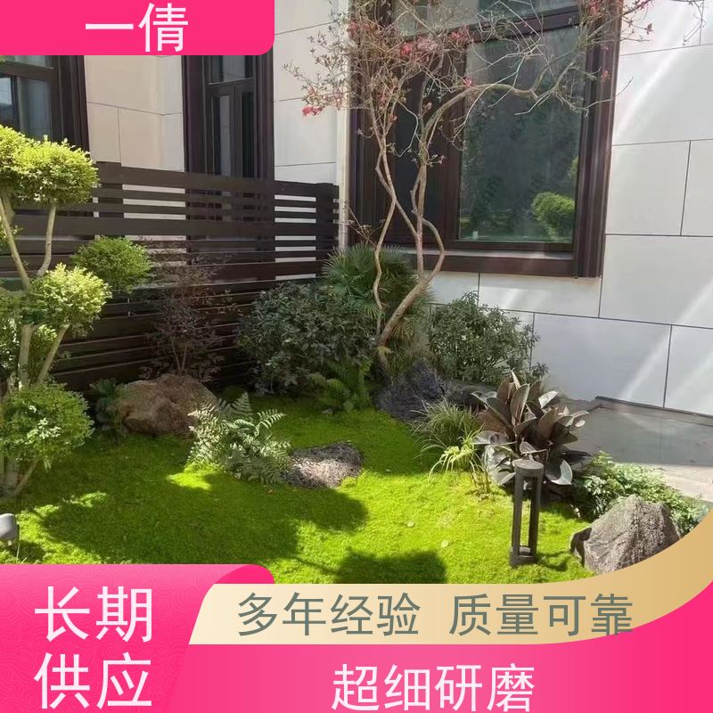 一倩花卉 室内 福禄桐 绿植租赁 全城配送 上门养护
