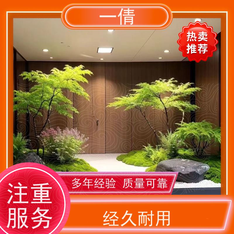 一倩花卉 前台 福禄桐 绿植出售 全城配送 上门养护