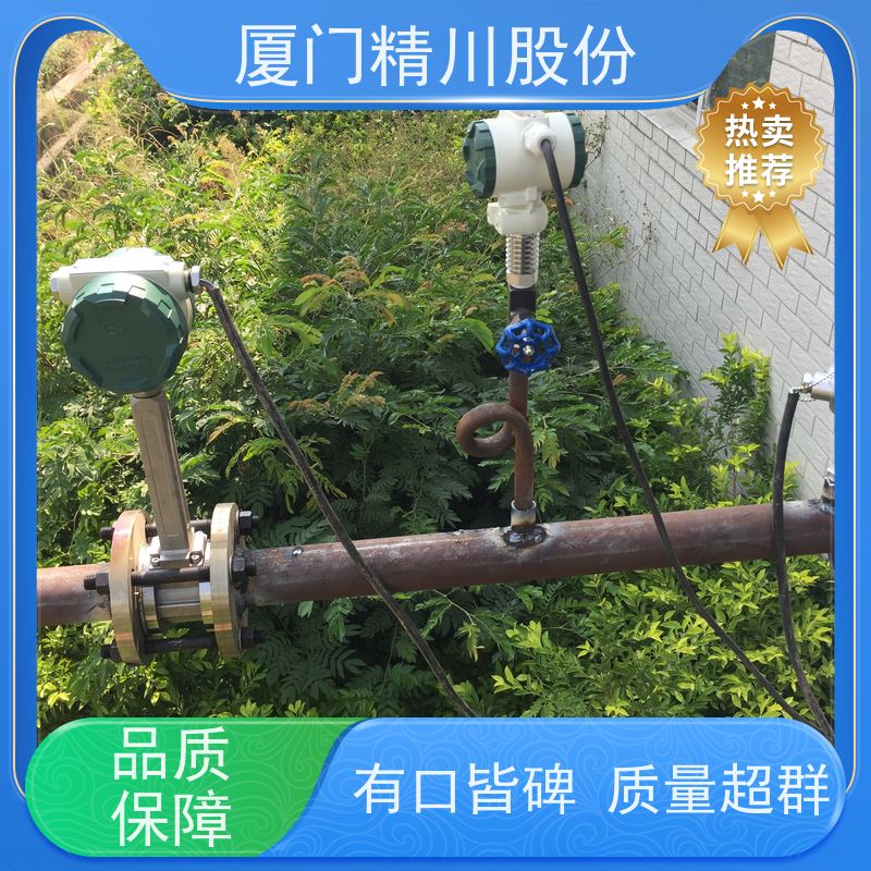 精川股份 胶带厂 压缩空气流量计 测量精度高 真实应用案例多