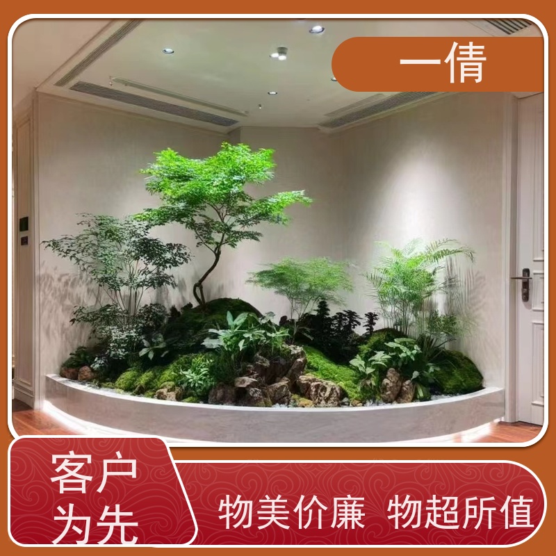 一倩花卉 室内 黄杨 绿植租摆 全城配送 上门养护