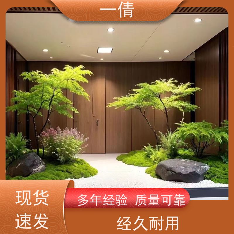 一倩花卉 室内 翡翠 室内植物出租 桌面绿植 花木护理