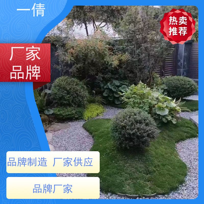 一倩花卉 前台 量天尺 室内植物出租 种类繁多 规格齐全