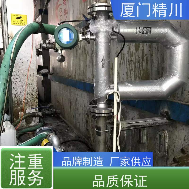 精川 大学实验室科里奥利质量流量计 连接方式支持定制 省心