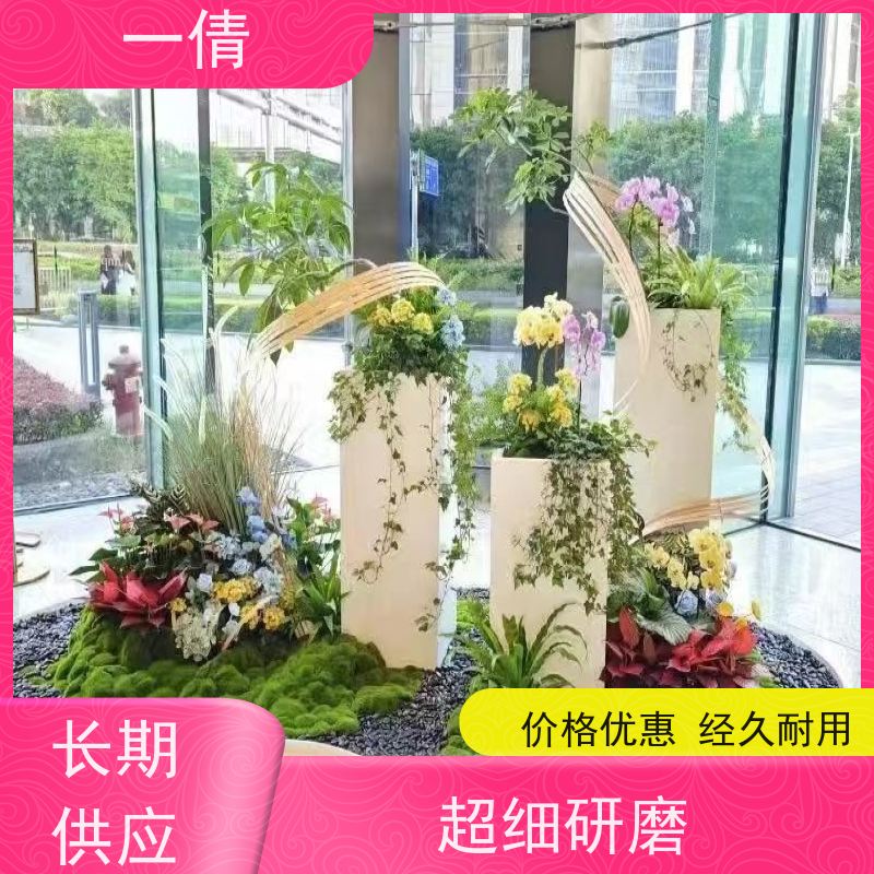 一倩花卉 办公室 造型螺纹铁 绿植租摆 种类繁多 规格齐全