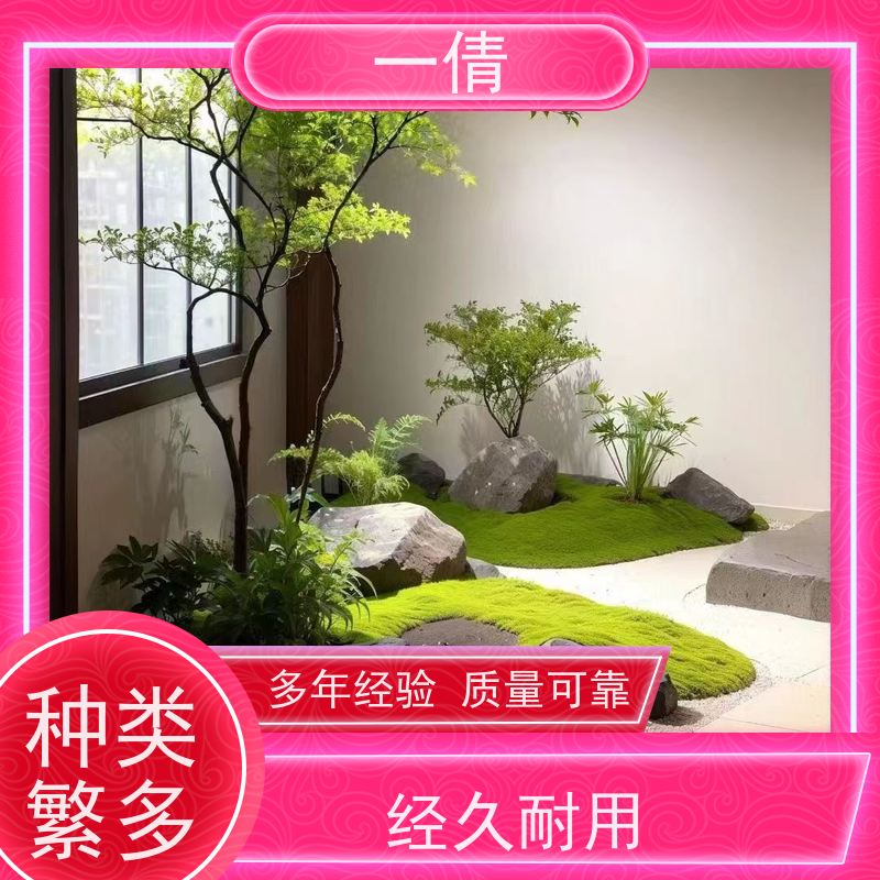 一倩花卉 办公室 柠檬树 绿植租摆 全城配送 上门养护