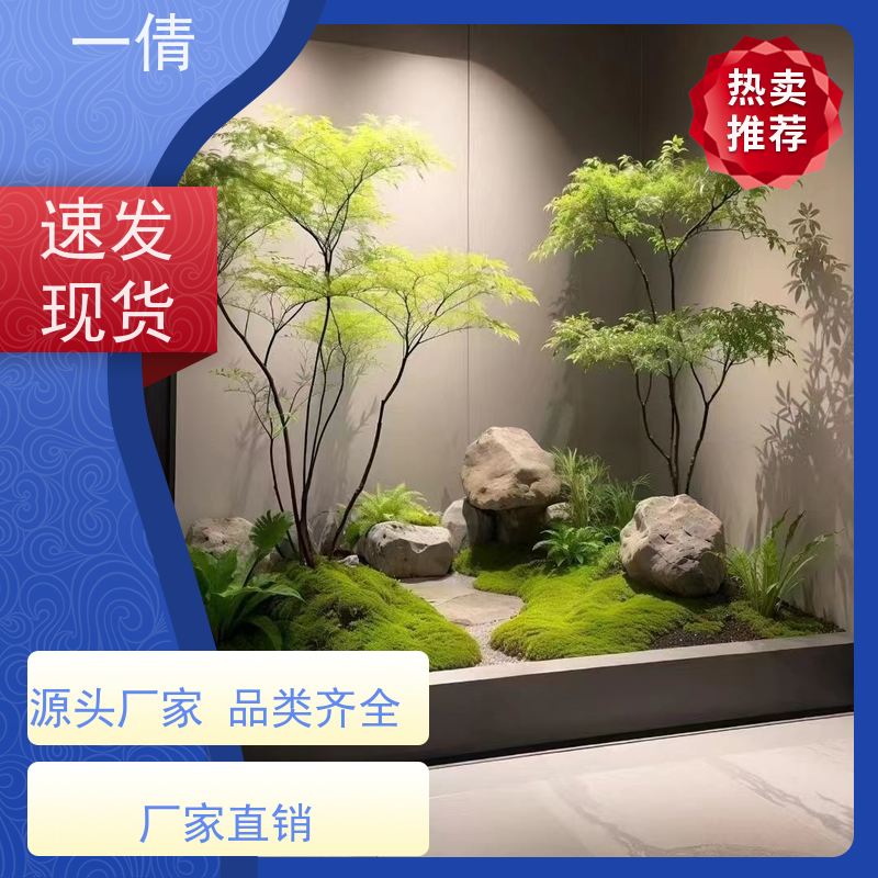 一倩花卉 办公室 观音竹 绿植出售 种类繁多 规格齐全