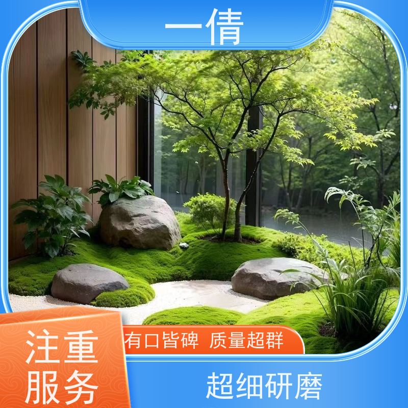 一倩花卉 办公室 小年桔盆景 花卉租赁 桌面绿植 花木护理