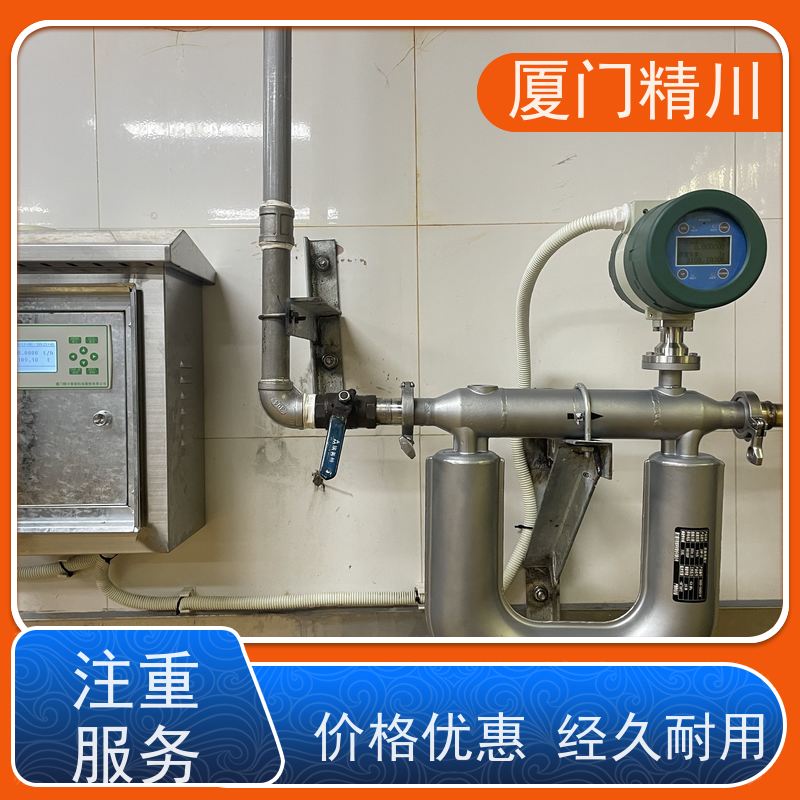 精川 食品厂气体质量流量计 连接方式支持定制 更放心