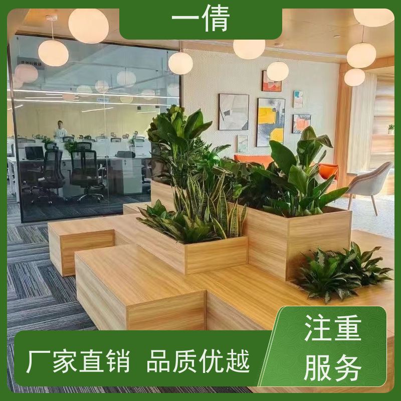 一倩花卉 深圳 龟背 绿植出售 全城配送 上门养护