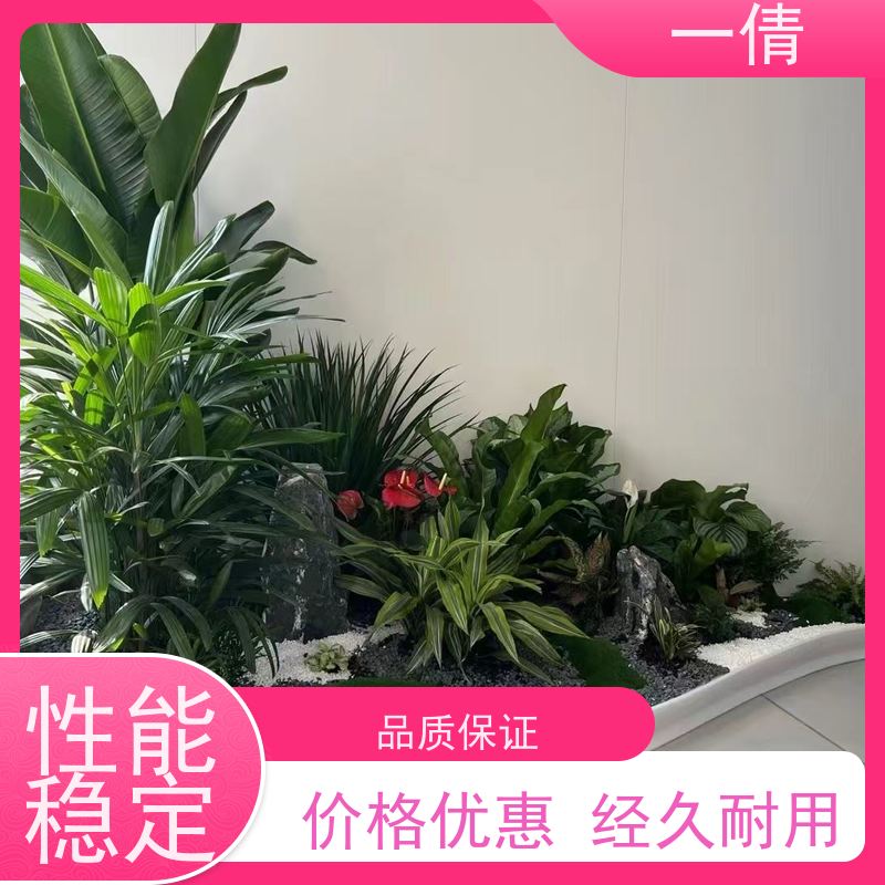 一倩花卉 办公室 春雨 开业花篮租赁 桌面绿植 花木护理