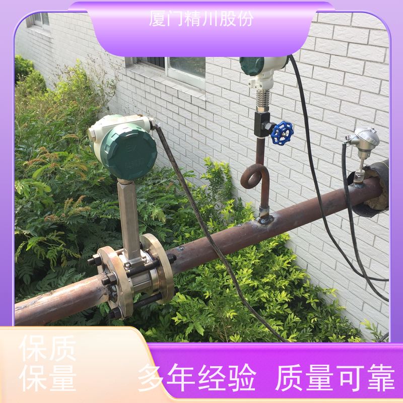 精川股份 纺织厂 压缩空气流量计 抗震性能好 支持免费选型