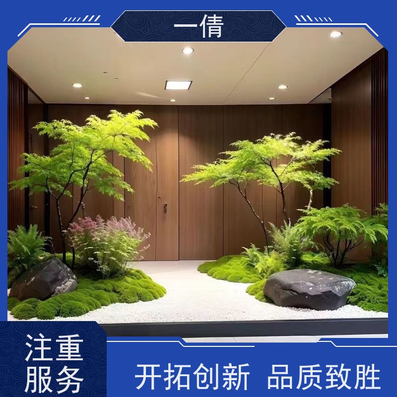 一倩花卉 室内 巴西木 开业花篮租赁 全城配送 上门养护