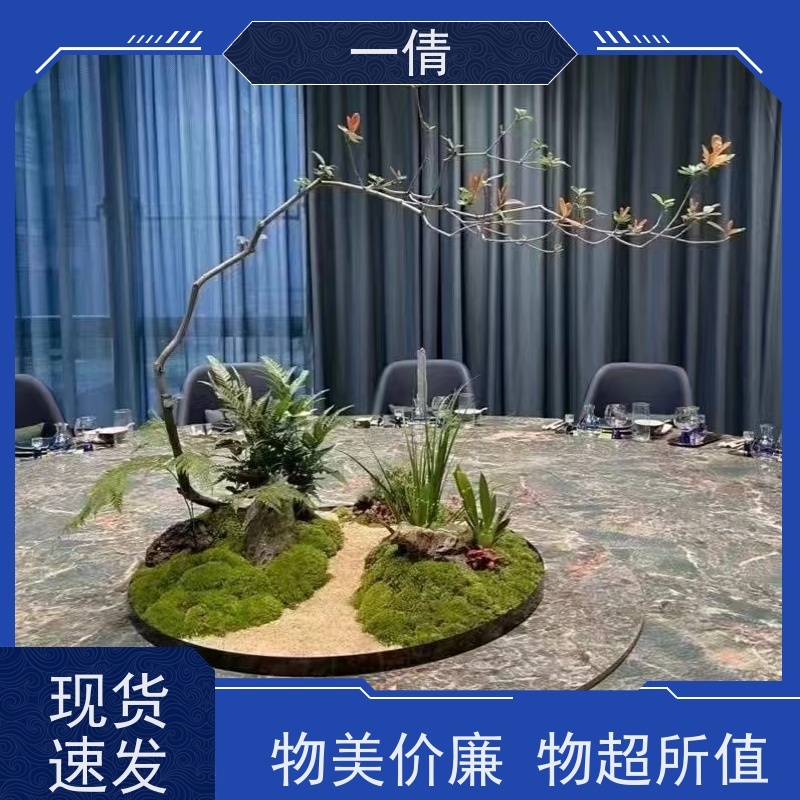 一倩花卉 深圳 金钱兜 花卉租赁 种类繁多 规格齐全
