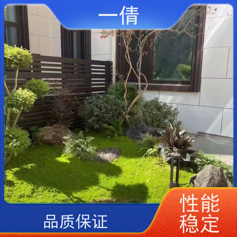 一倩花卉 室内 福木 绿植租赁 全城配送 上门养护