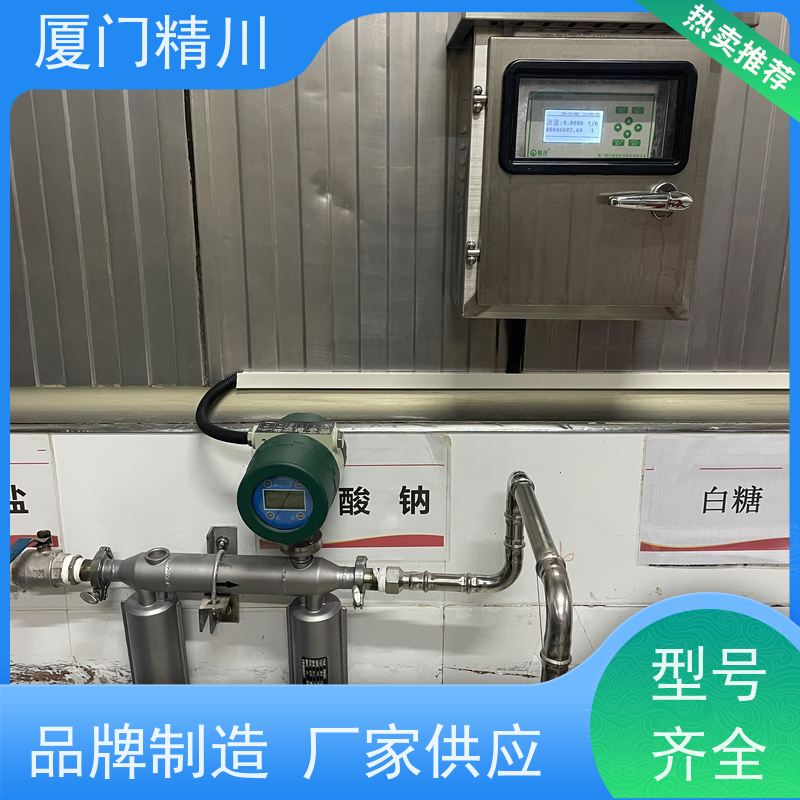 精川 锂电行业科氏力质量流量计 支持定制 有保障