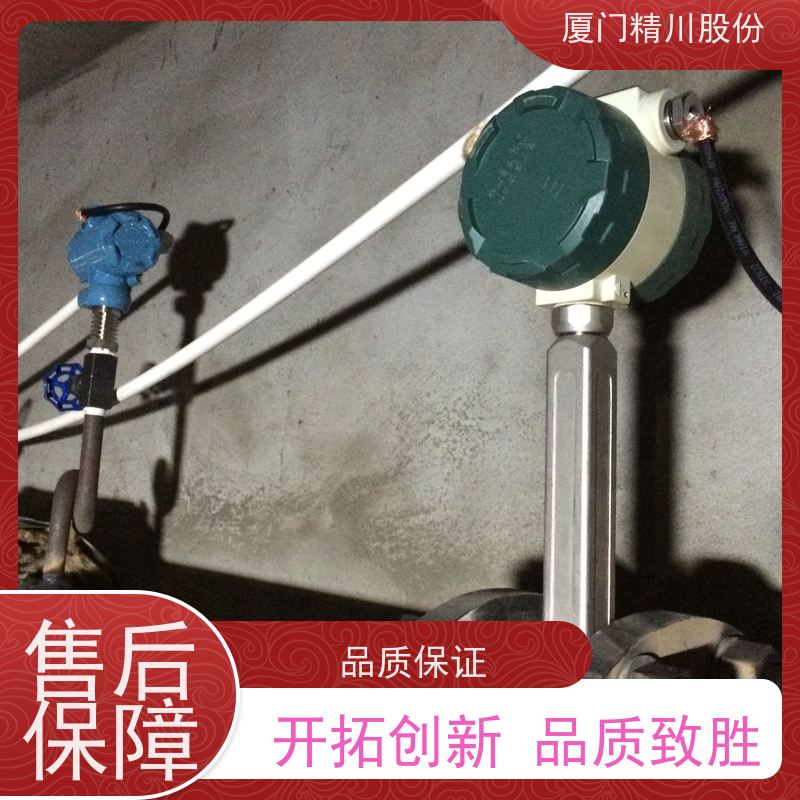 精川股份 橡胶厂 饱和蒸汽流量计 工作时间长 应用广泛
