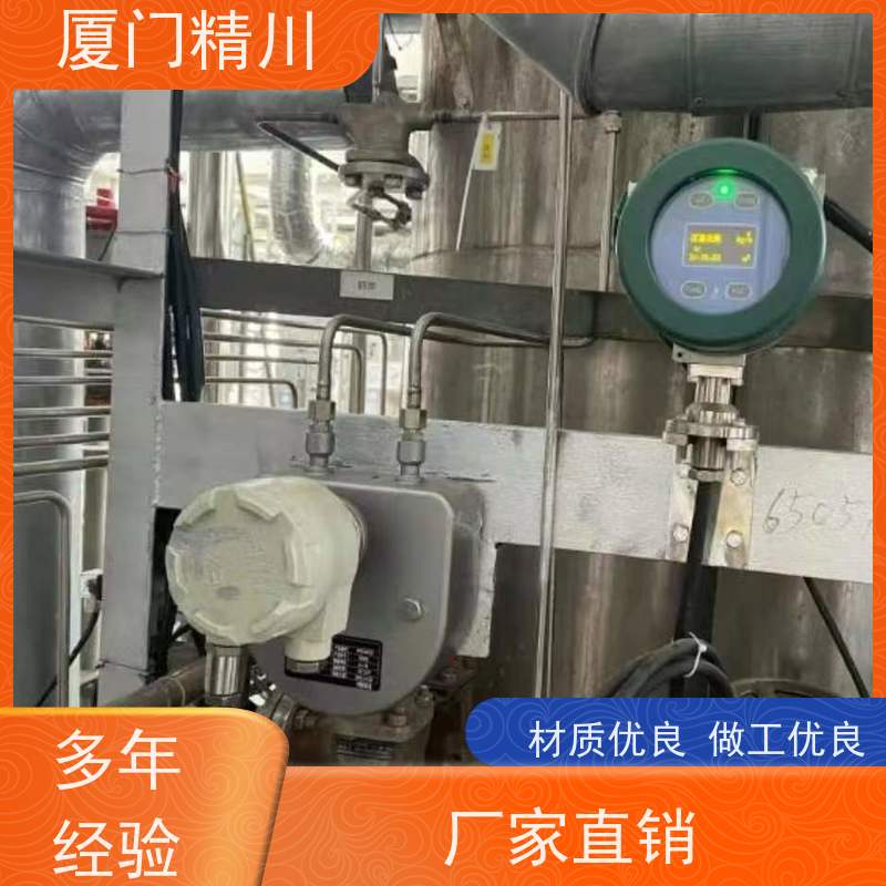 精川 设备配套气体质量流量计 连接方式支持定制 有保障