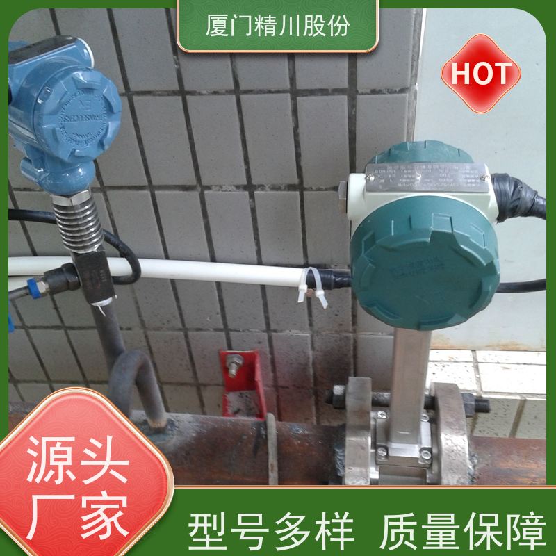 精川股份 纺织厂 锅炉蒸汽流量计 工作时间长 源头生产厂家