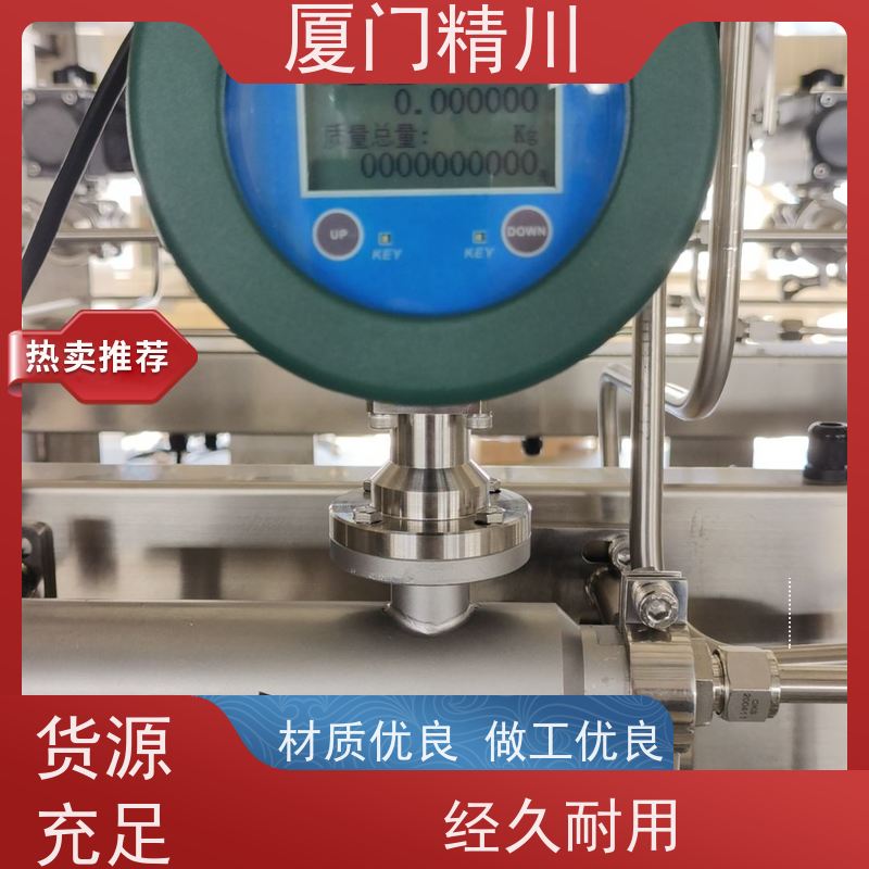 精川 大学实验室气体质量流量计 支持定制 省心