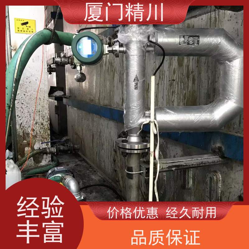 精川 制药设备气体质量流量计 连接方式支持定制 省心