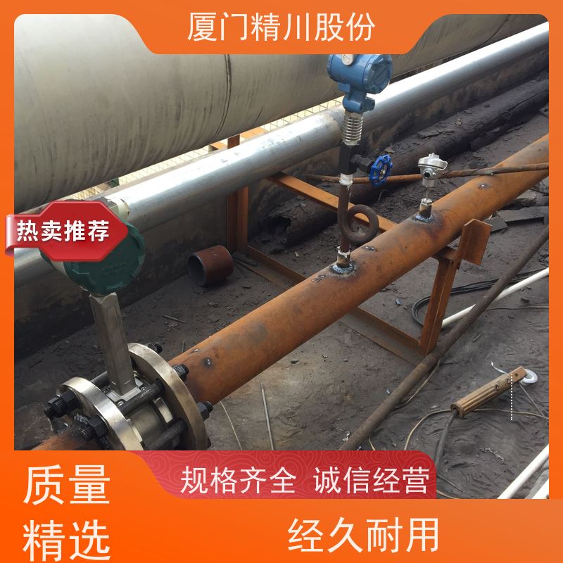 精川股份 包装厂 蒸汽流量计 一体式温压补偿 应用广泛