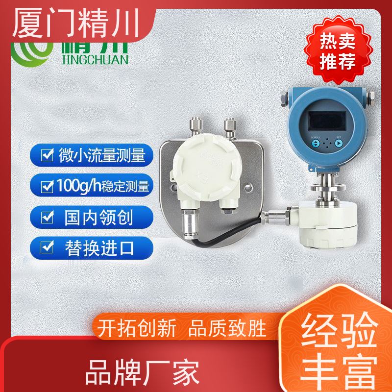 精川 食品厂小口径质量流量计 支持定制 有保障