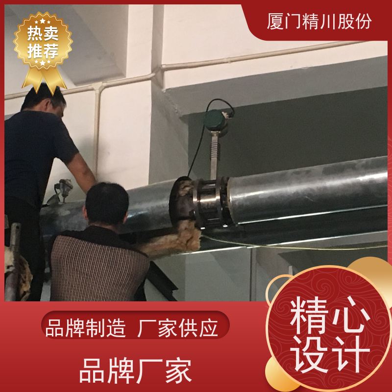精川股份 皮革厂 导热油流量计 精度高 应用广泛