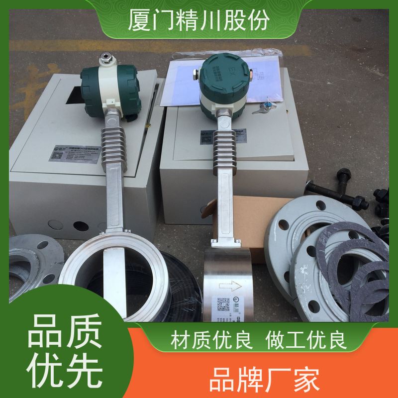 精川股份 鞋材厂 导热油炉流量计 精度高 品质可靠