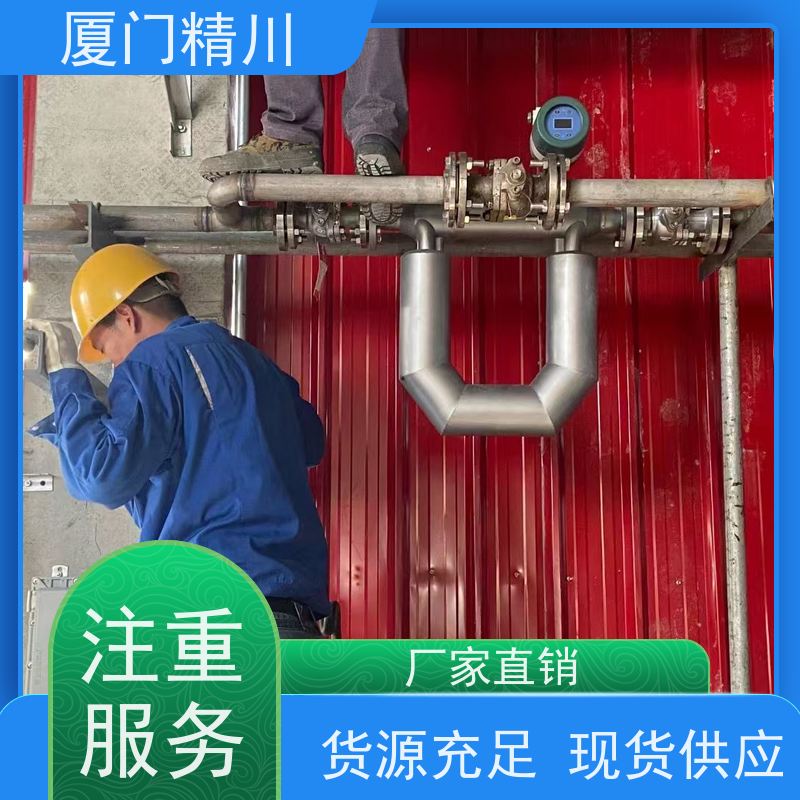 精川 设备配套气体质量流量计 接液316L材质 更放心